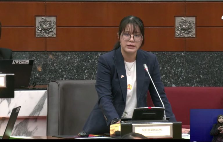 Penternakan babi tidak sepatutnya dibezakan dengan penternakan haiwan lain – ADUN DAP