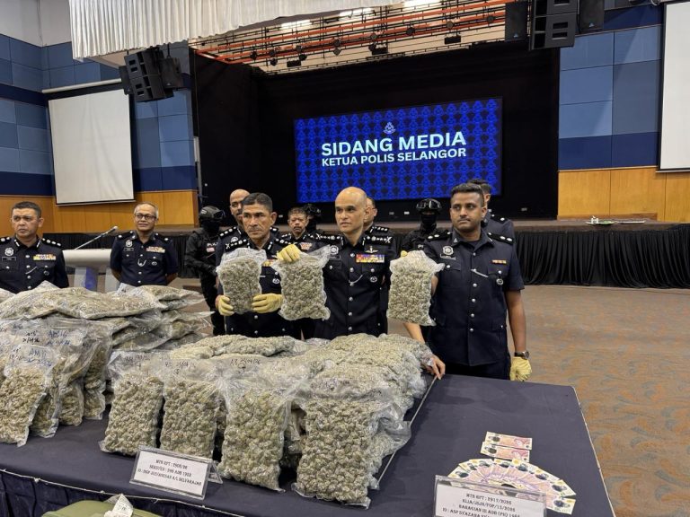 Polis tumpaskan sindiket pengedaran bunga ganja, rampasan bernilai RM14.7 juta