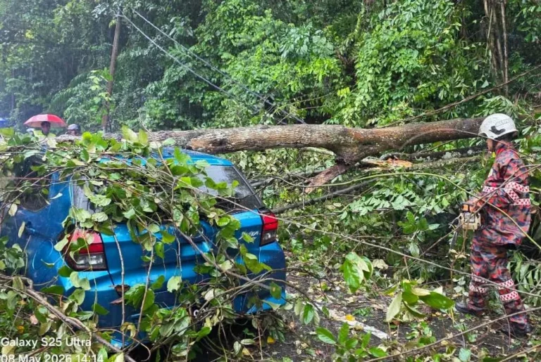 Lelaki nyaris maut kenderaan dipandu dihempap pokok tumbang