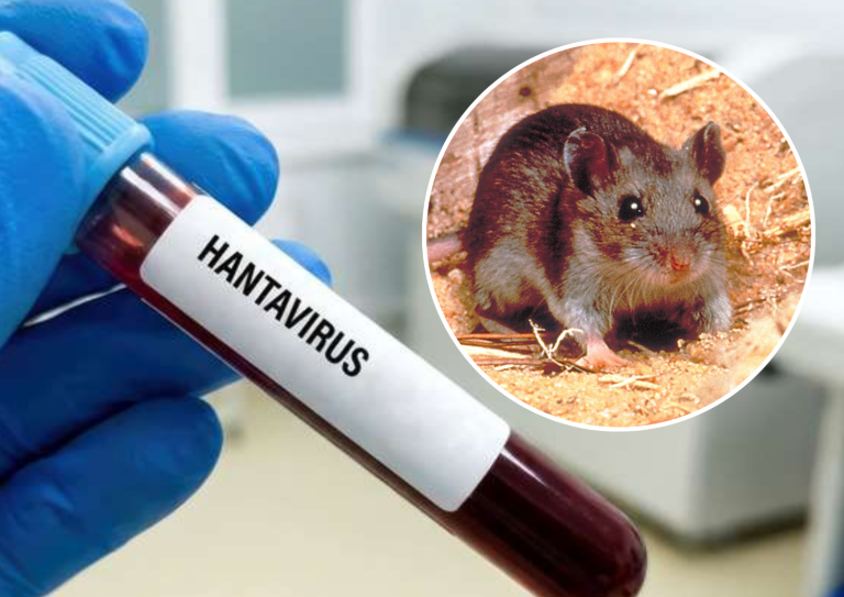 Tidak semua virus akan menjadi pandemik seterusnya